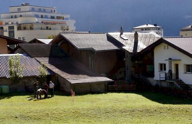 Das Lamm wurde in unmittelbarer Nähe von Wohnhäusern gerissen.