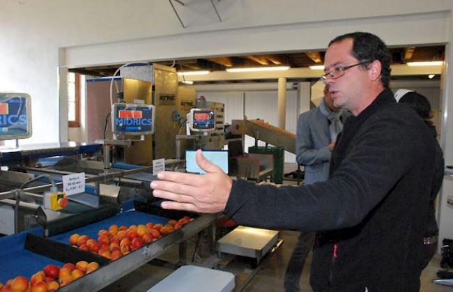 Sébastien Besse vom kantonalen Amt für Obst- und Gemüsebau erklärt die neuartige Sortieranlage.