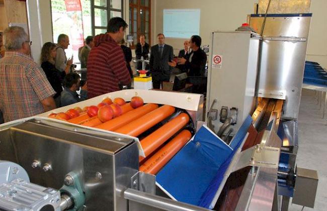 Ausbaufähig: Der in Châteauneuf präsentierte Prototyp kann pro Stunde rund 500 Kilogramm Aprikosen nach ihrem Reifegrad aussortieren. 