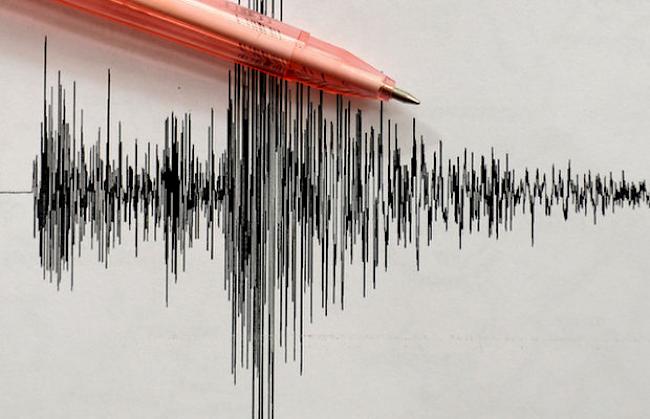 Aufzeichnung eines Erdbebens anhand einer Richterskala (Symbolbild)