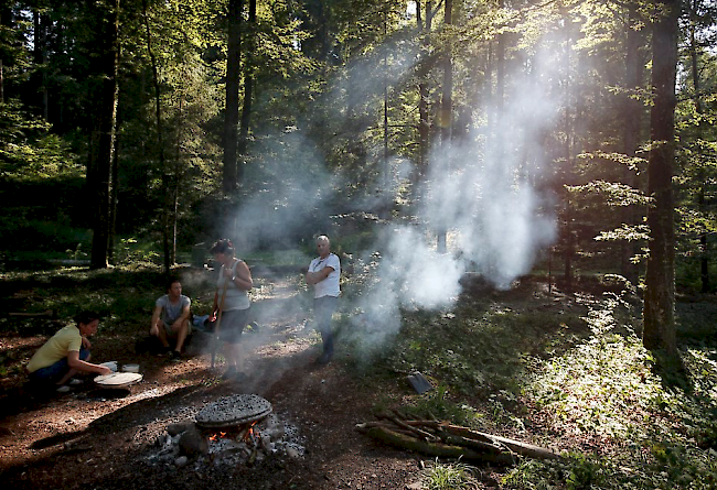 Feuer im Wald oder in Waldesnähe dürfen nur an dafür von den Gemeinden bezeichneten oder offensichtlich gefahrlosen Stellen entfacht werden. (z.B. offizielle Grill- und Campingplätze).