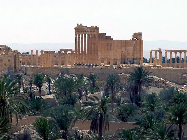 Die antike Wüstenstadt Palmyra - vor einigen Wochen wurde sie von der Dschihadistenmiliz Islamischer Staat (IS) eingenommen (Archiv)