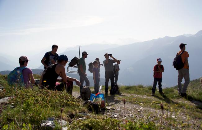 Am Sonntagmorgen stiegen sechs Schäfer mit Helfern auf die Alp hoch, um Zäune aufzustellen.