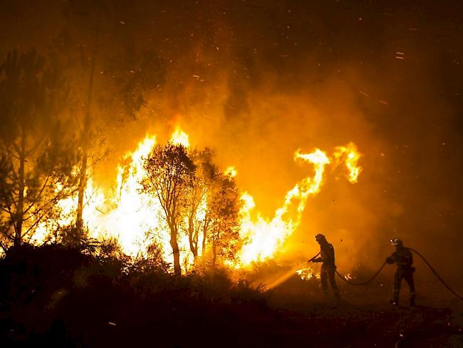 Ein Brand zerstörte in Nordspanien 80 Quadratkilometer Wald, in etwa die Fläche des Zürichsees. Im Bild Löscharbeiten bei einem Brand in Galizien vor zwei Jahren (Archiv)