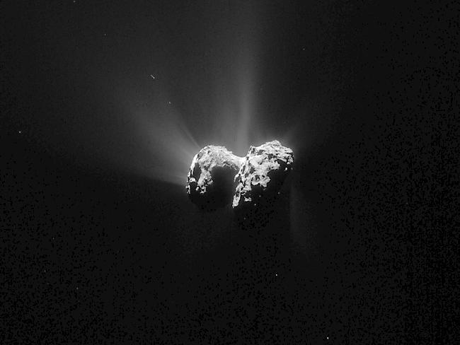 Auf Komet Tschuri könnten Mikroorganismen hausen, glauben britische Forscher.