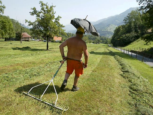 Ein Bauer schützt sich im Hitzesommer 2003 mit einem selbstgemachten Schirmhut vor der Sonne. (Archiv)