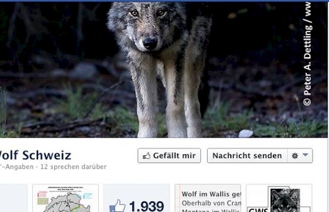 Facebook-Seite der Gruppe Wolf Schweiz.