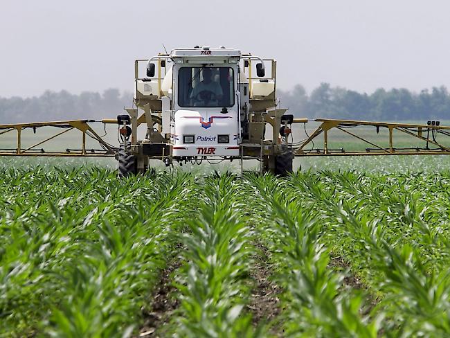 In den USA wird Glyphosat im Getreide- und Maisanbau im grossen Stil eingesetzt. Auch in der Schweiz werden jährlich rund 300 Tonnen des Herbizids verspritzt (Archiv).