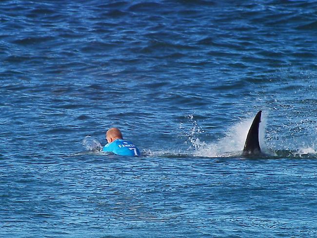 Der Australier Mick Fanning wurde bei einem Wettkampf vor laufenden Kameras von einem Hai angegriffen. Nach neuen Hai-Sichtungen sind nun mehrere australische Strände gesperrt. (Archivbild)
