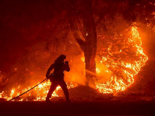 Die Feuerwehr kämpft gegen die Flammen - bisher wurden bei den Bränden 49