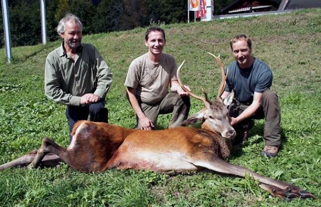 Pierre Bonvin, dessen Sohn Jan Bonvin und Morand Thierry gehen gemeinsam bereits seit einigen Jahren im Goms auf die Pirsch. Sie bleiben jeweils während zwei Wochen. Am Donnerstagmorgen schoss Thierry Morand einen dreieinhalbjährigen Hirsch, einen ungeraden Achter. Dieser wiegt rund 120 Kilo. Je nach Schuss kann davon bis zu 60 Kilogramm Fleisch verarbeitet werden. Der Zweig im Maul des Tieres wird Bruch genannt. Dieser soll den Respekt vor dem Tier ausdrücken. Bisher sei die Jagd gut verlaufen, erklären die drei Jäger aus dem Unterwallis. Einzig das Wetter könnte noch etwas besser werden.