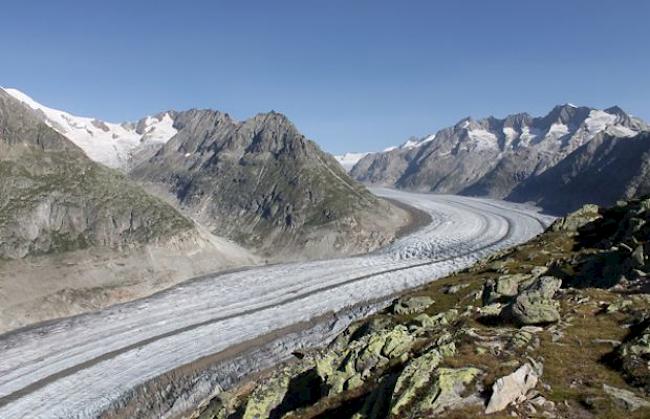 Den Aletschgletscher weiss anmalen? «Völlig sinnlos», dementiert nun Beat Ruppen.