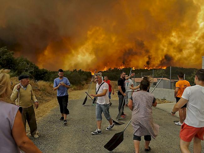 Einwohner der Ortschaft Cualedro in der spanischen Provinz Galicien in der Nähe des riesigen Waldbrands.