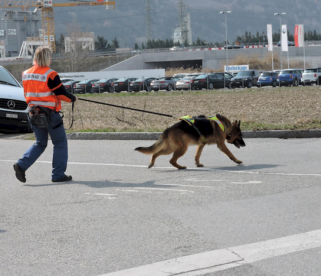 Der Schweizerische Verein für Such- und Rettungshunde REDOG bildet Rettungsteams von Mensch und Hund zur Rettung von Vermissten und Verschütteten aus.