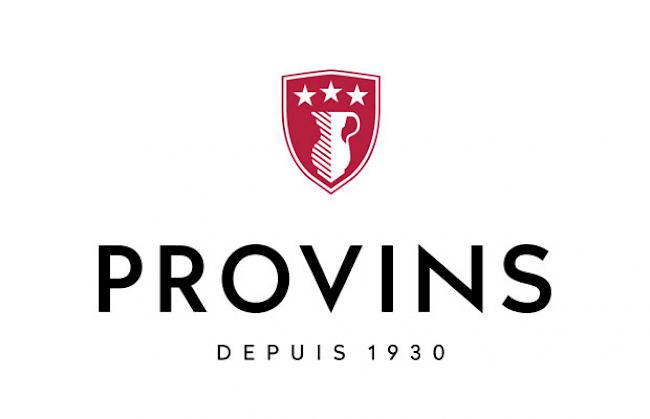 Das neue Provins-Logo
