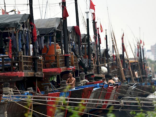 Fest festbinden: Fischer im chinesischen Hafen Haikou sichern ihre Schiffe vor dem Taifun.