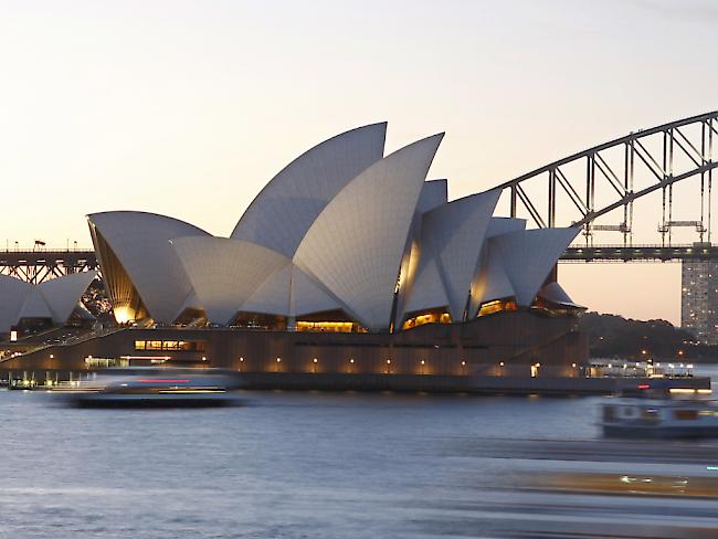 Wenn Seehunde eine Kamera hätten, würden sie das Opernhaus von Sydney fotografieren. So bleibt ihnen nur, sich einen Sonnenplatz auf den Stufen davor zu ergattern - und das tut sei einiger Zeit einer von ihnen in der australischen Metropole (Archivbild aus dem Jahr 2008).