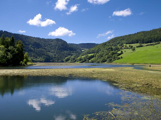 Die Idylle trügt: Im französisch-schweizerische Grenzfluss Doubs ist das Überleben der vom Aussterben bedrohten Fischart Apron nicht gesichert (Archivbild).