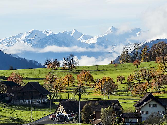 In der Schweizer Landwirtschaft ortet die OECD noch viel Potential für eine Erhöhung der Produktivität (Archiv).