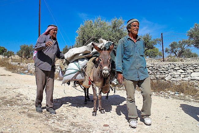 Alltag in Palästina: Zwei Einheimische transportieren ihre Ware auf einem Esel.