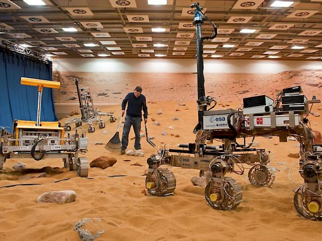 Der Rover "Bridget" kurvte am Freitag über zwei Stunden durch eine künstlich errichtete Mars-Landschaft.
