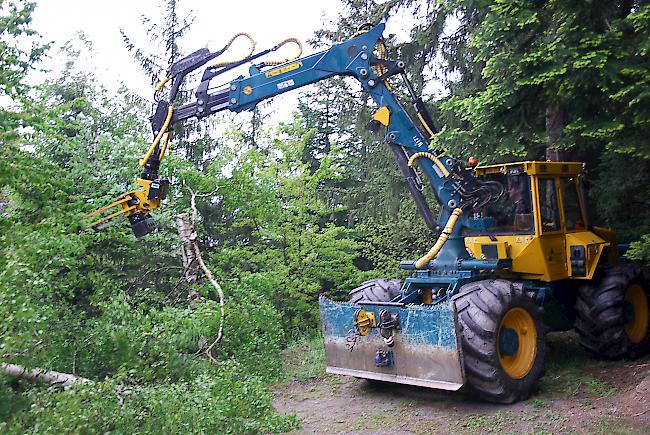 Auch der vor sechs Jahren angeschaffte HSM-Forstraktor, der vor Kurzem einen neuen Aufsatz erhalten hatte, wurde vorgeführt. 