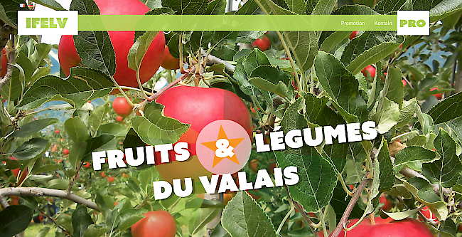 Auf Ende Jahr wurde dem gesamten Personal der Walliser Obst- und Gemüse-Branchenorganisation gekündigt. 