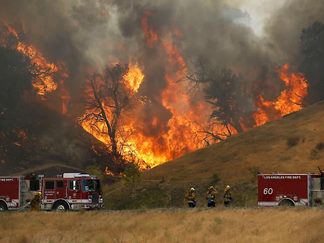 Feuerwehrleute kämpfen gegen die Flammen bei Santa Clarita.