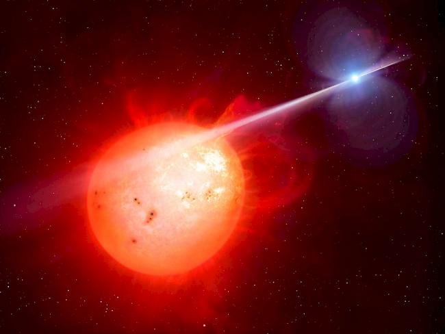 In einem seltsamen Doppelsternsystem grillt ein weisser Zwerg regelmässig seinen roten Begleiter mit einer Art Scheinwerferstrahl.