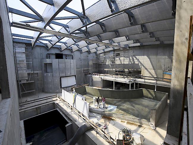 Ab Frühling 2017 werden im grössten Aquarium der Schweiz in Lausanne knapp 10