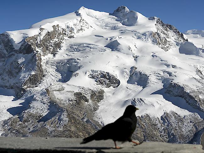 Das Monte-Rosa-Massiv liegt an der Grenze zwischen der Schweiz und Italien. (Archiv)