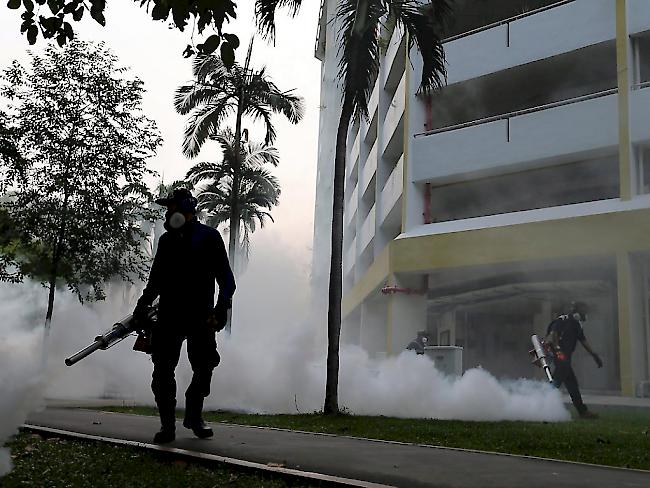 Ärzte stellten nun auch im südostasiatischen Singapur Fälle von Zika-Infektionen fest. Die Behörden leiteten erste Massnahmen ein, um die Ausbreitung bestimmter Stechmücken zu bremsen.