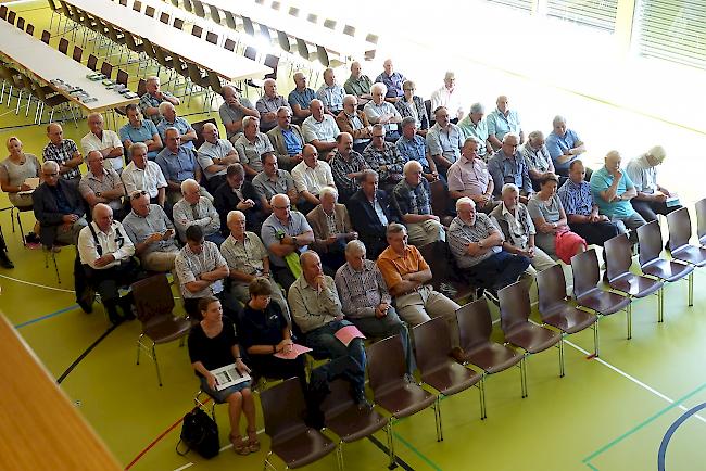 Blick in die Teilnehmerrunde der Jahresversammlung der ehemaligen Gemeinde- und Burgerpräsidenten am Samstag in Grengiols.