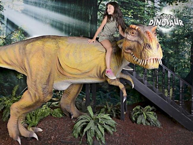 Bild von der "Days of the Dinosaur"-Ausstellung in Neapel. Derzeit macht die Schau im Genfer Palexpo Halt. (Facebook)