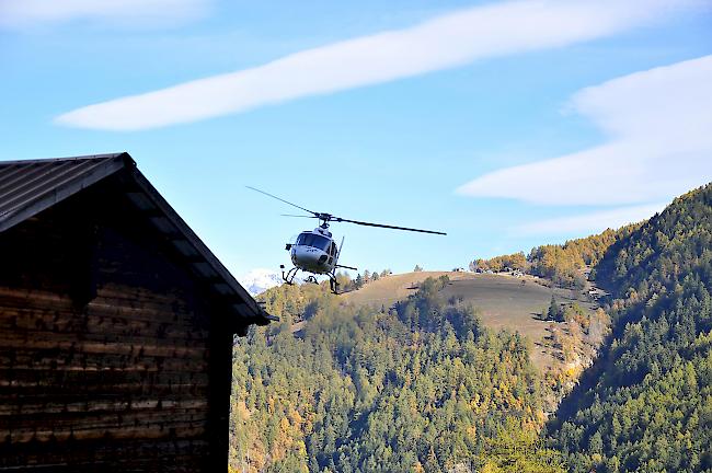 Mit diesem Helikopter der Air Glaciers wurden die Kadaver am Freitag ausgeflogen.
