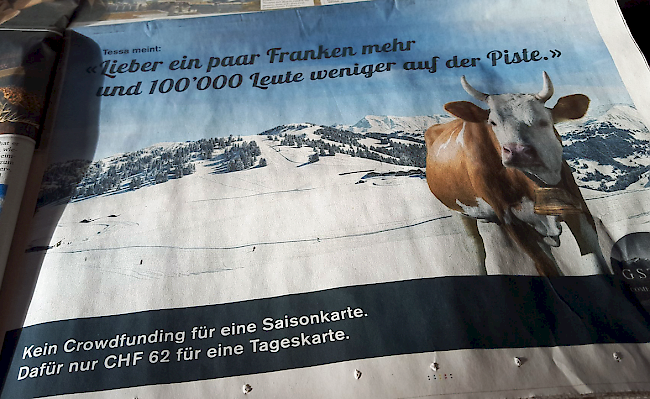 «Tessa» mags lieber gemütlich.