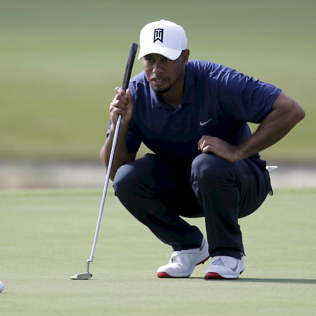 Tiger Woods voller Konzentration auf dem Green