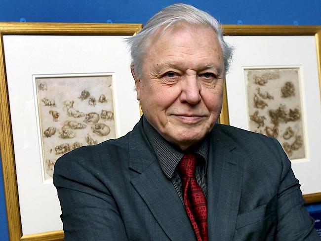 Der legendäre Naturforscher David Attenborough in einer Aufnahme von März 2008: Der Brite gibt nun auch einer australischen Schnecke seinen Namen. (Archivbild)