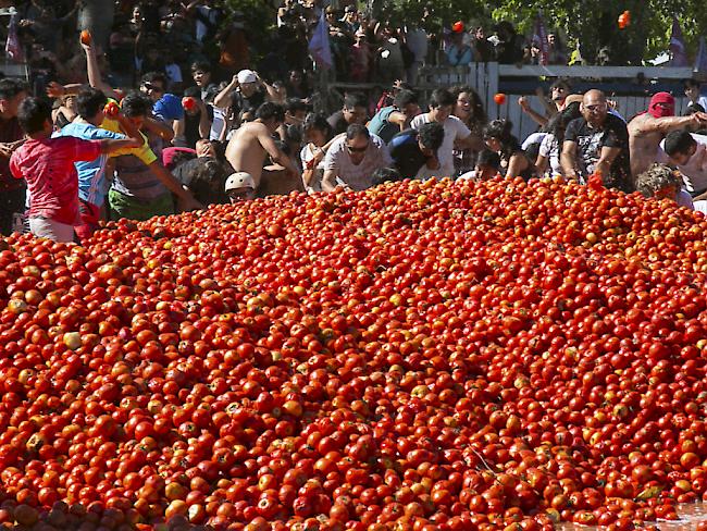100 Tonnen Tomaten verschossen die Teilnehmer an der chilenischen Tomatenschlacht.
