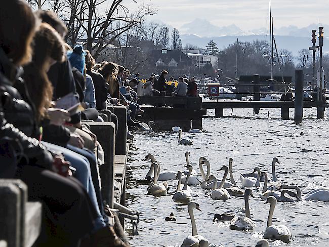 Menschen geniessen am Donnerstagmittag das frühlingshafte Wetter am Zürichsee. (KEYSTONE/Ennio Leanza)