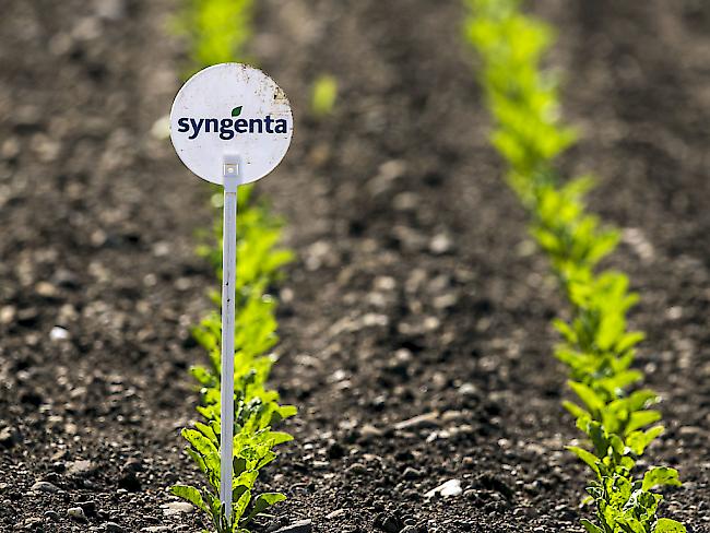 Winken die Behörden die Fusionen von Syngenta und ChemChina sowie weiterer internationaler Agrarkonzerne durch, kontrollierten drei Konzerne mehr als 60 Prozent des kommerziellen Saatguts, warnen fast 200 Umwelt- und Entwicklungsverbände.
