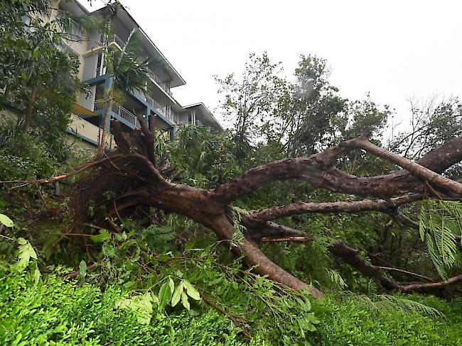 Mit Windgeschwindigkeiten von bis zu 260 Stundenkilometern hat der Sturm Debbie im Nordosten Australiens Schäden angerichtet.