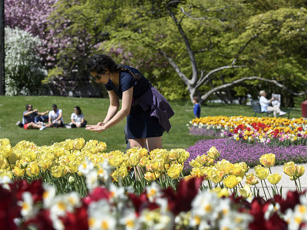 -Sommerliche-Temperaturen-um-die-25-Grad-erfreuen-die-Schweiz-