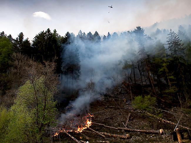 In vielen Teilen der Schweiz herrscht derzeit erhebliche Waldbrandgefahr. (Archiv)
