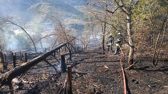 Über 3000 Quadratmeter Wald und Wiesen sind niedergebrannt.