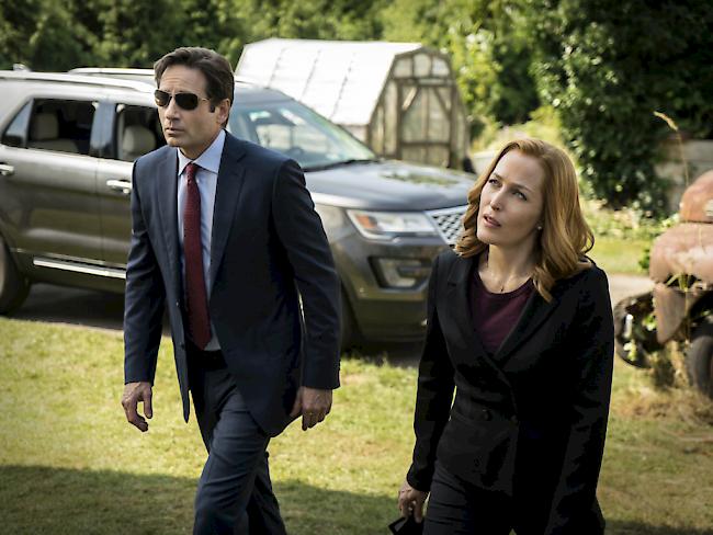 David Duchovny als Fox Mulder und Gillian Anderson als Dana Scully ermitteln wieder über Aliens und paranormale Aktivitäten.