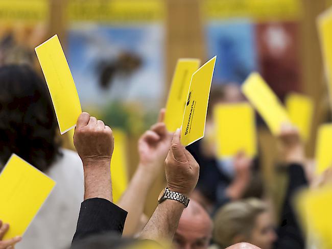 Mit gelben Zetteln für eine grüne Zukunft: Die BDP-Delegierten fassten am Samstag einstimmig die Ja-Parole zur Energiestrategie 2050.