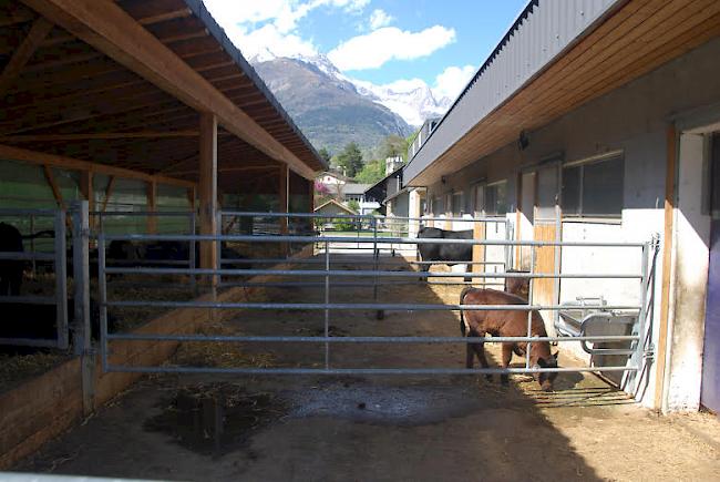 Landwirtschaftszentrum Visp. Durch eine Weiterentwicklung des Gutsbetriebs und die Neustrukturierung des Herdenschutzes soll die Landwirtschaft im Wallis gestärkt werden (Archivbild).