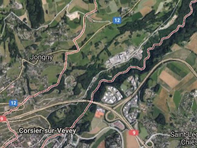 Ein Waldstück trennt Saint-Légier und Corsier-sur-Vevey. In Saint-Légier (rechts) starb laut Polizei die 70-jährige Frau am 17. Dezember 2016. Sie wurde nur wenige Kilometer weiter in einem Waldstück der Nachbargemeinde in einem Container abgelegt. Erst vier Monate später fand sie ein Spaziergänger.