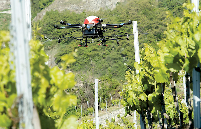 Das Unternehmen AgroFly hat eine Drone entwickelt, mit Hilfe derer Behandlungen in der Landwirtschaft rasch, präzise und ökologisch durchgeführt werden können.
